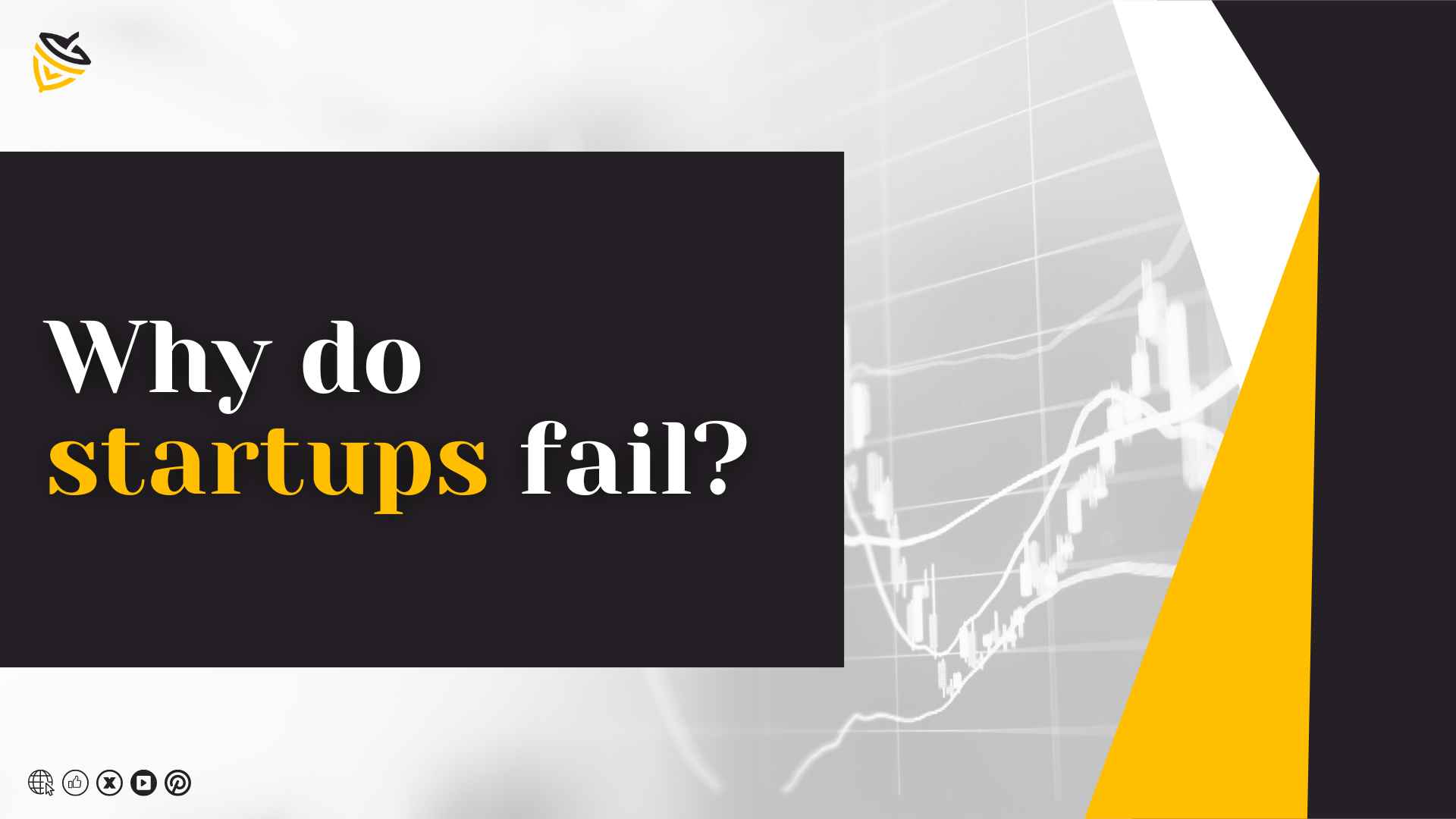 Why do startups fail?
