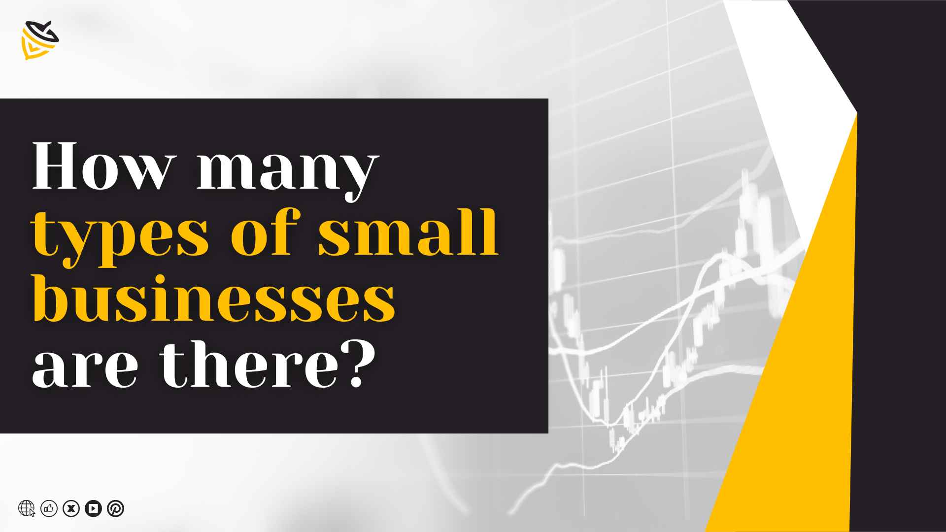 How Many Types of Small Businesses are There? Discover the Potential!