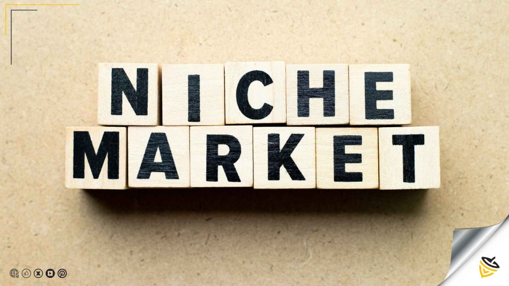 The Power of Niche Markets
